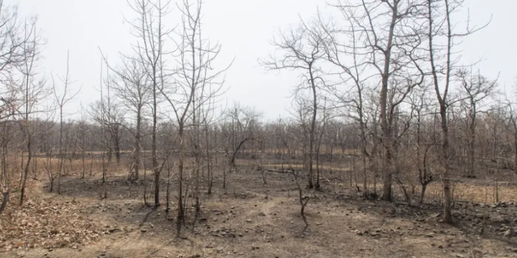 تغير المناخ