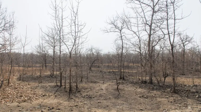 تغير المناخ