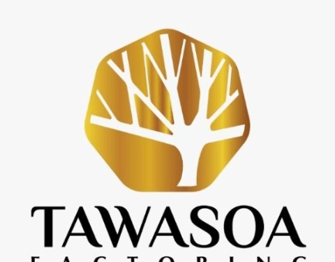 توسع للتخصيم