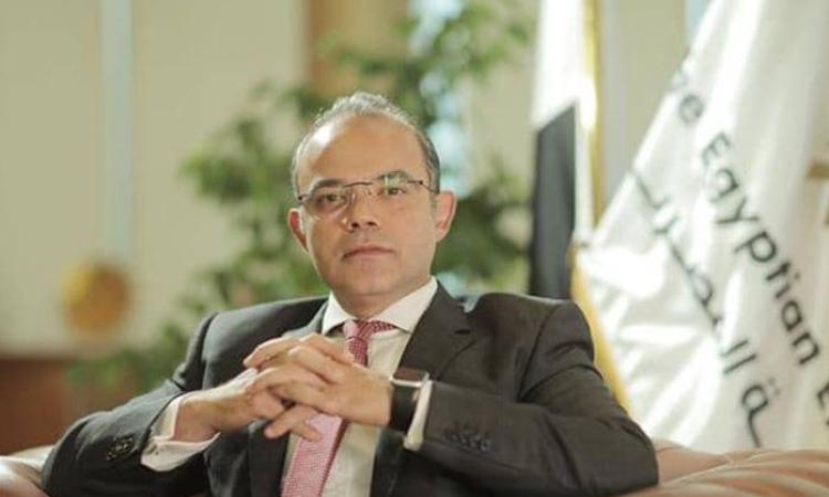 محمد فريد، وزير الاستثمار