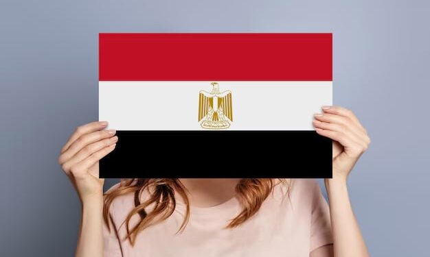 «نون» البيزنس.. المرأة تنافس صناع الاقتصاد فى مصر