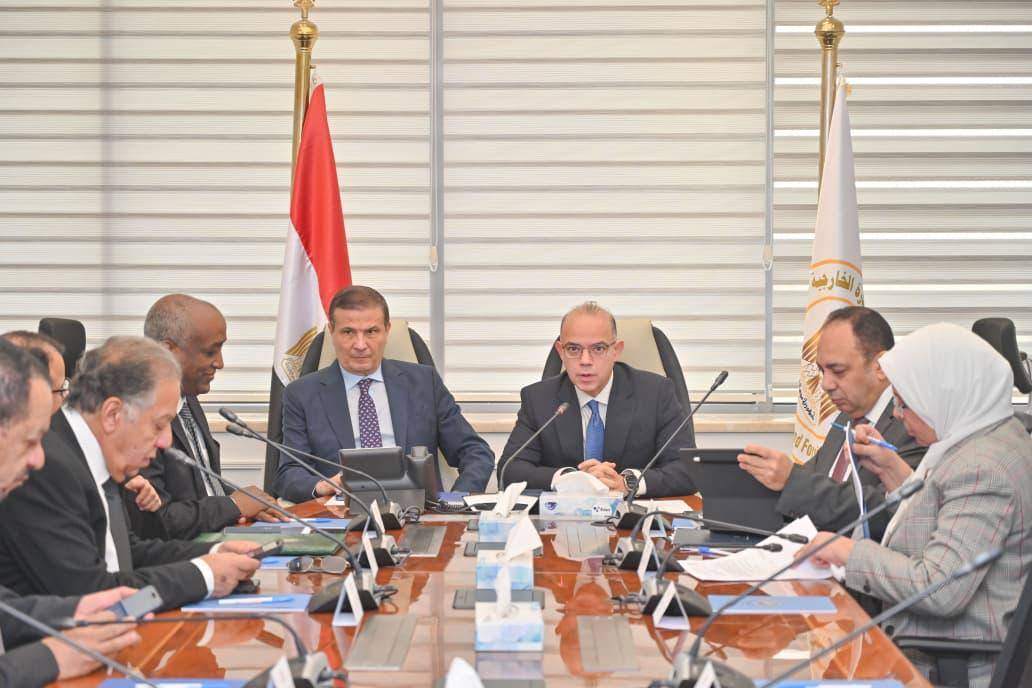 الحكومة تبحث تأسيس كيان متخصص للاستثمار في أفريقيا