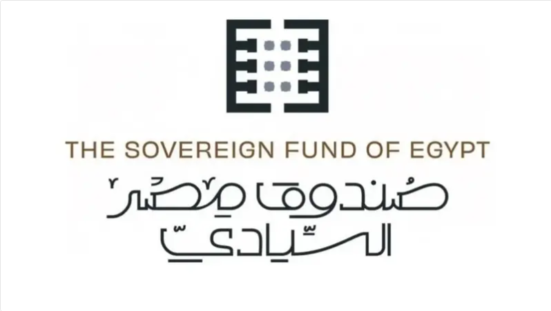 “الاستثمار”: الصندوق السيادى يدعو للتقدم بعروض فنية ومالية لإدارة طرح 20% من “مصر لتأمينات الحياة”
