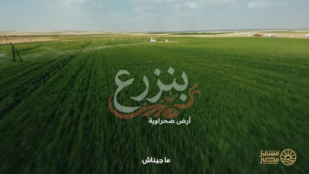 cfdcb83c 992d 405d 9078 74486c6fce0a