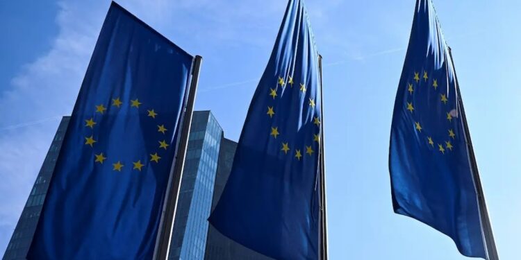 da013eab 5dd8 4ba0 92ba 12cee7bf6e1f img 20260321 wa0002