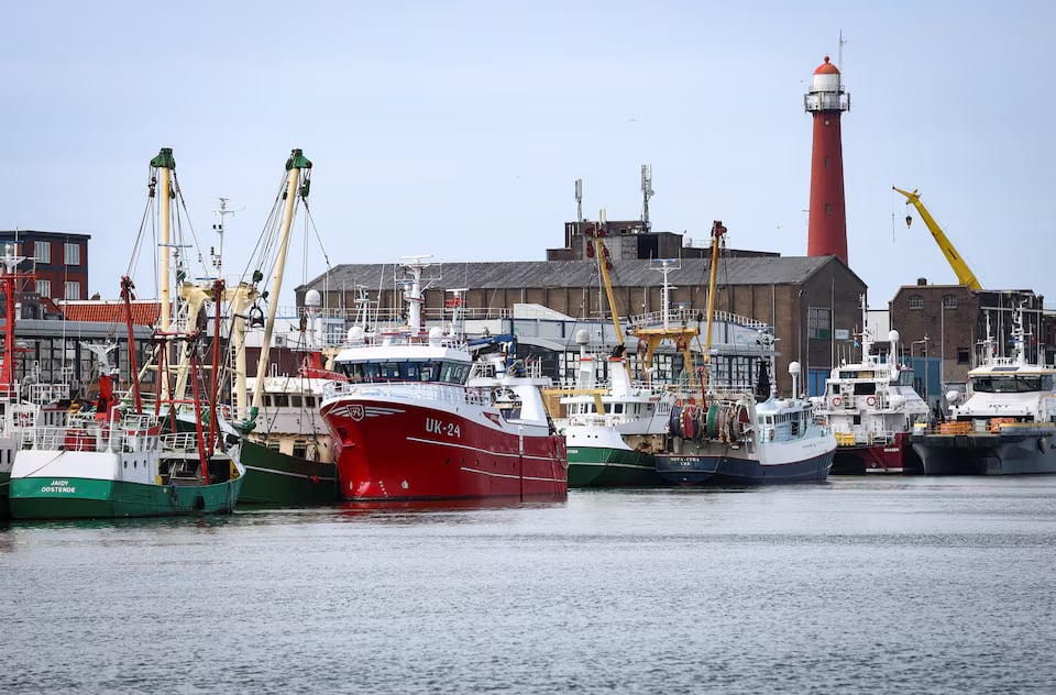 ارتفاع سعر الديزل يعطل نصف أسطول الصيد الهولندي