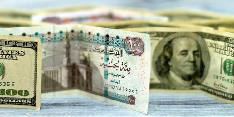 الدولار مقابل الجنيه المصري