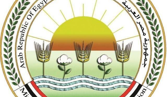 الزراعة