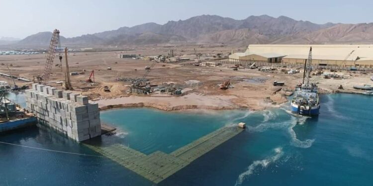 محطة متعددة الأغراض