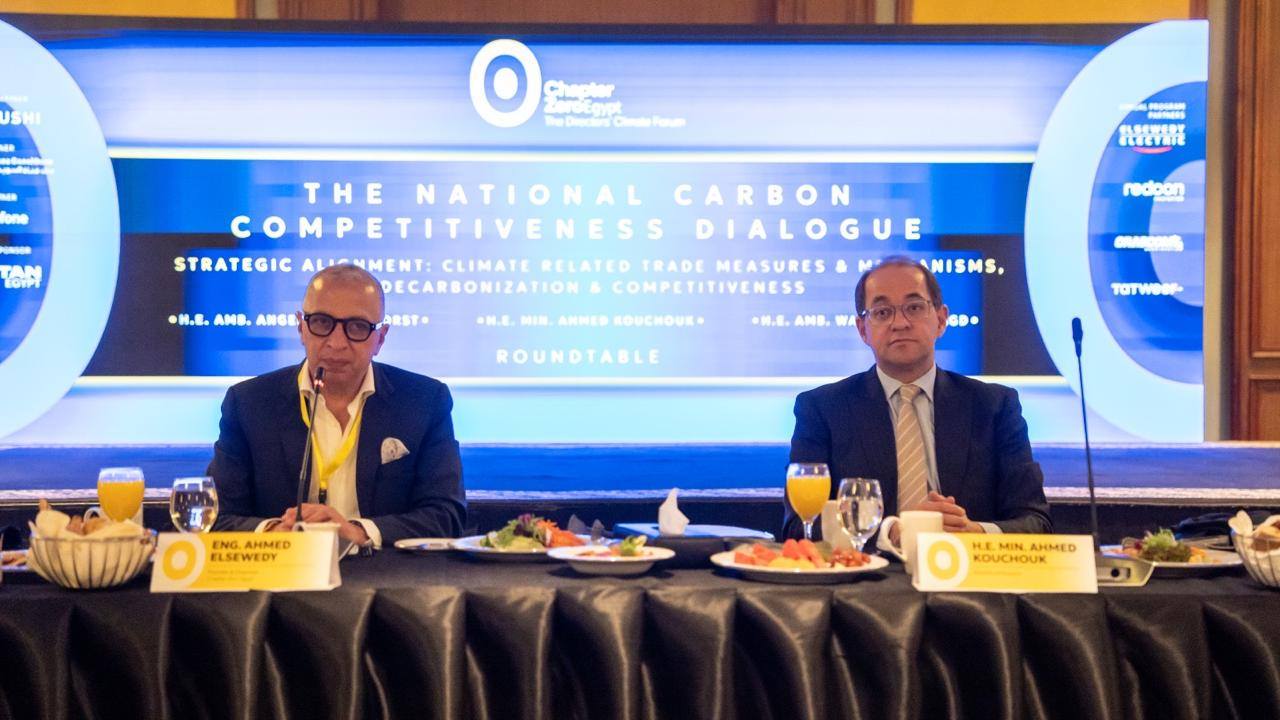 وزير المالية: تخصيص استثمارات حكومية كافية لرفع قدرات شبكات نقل الكهرباء