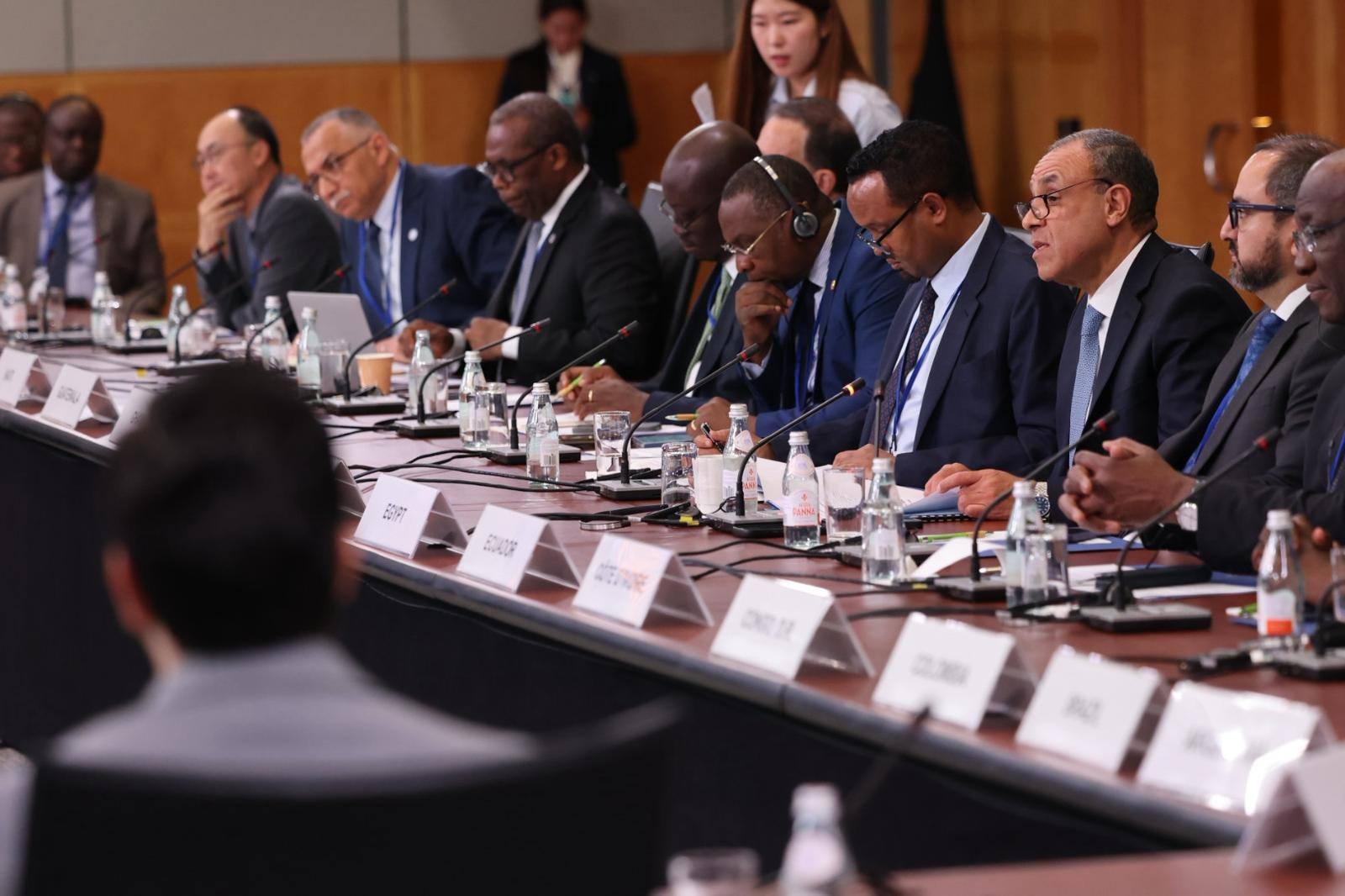 وزير الخارجية يدعو لإصلاح النظام الاقتصادى العالمى ودعم الدول النامية