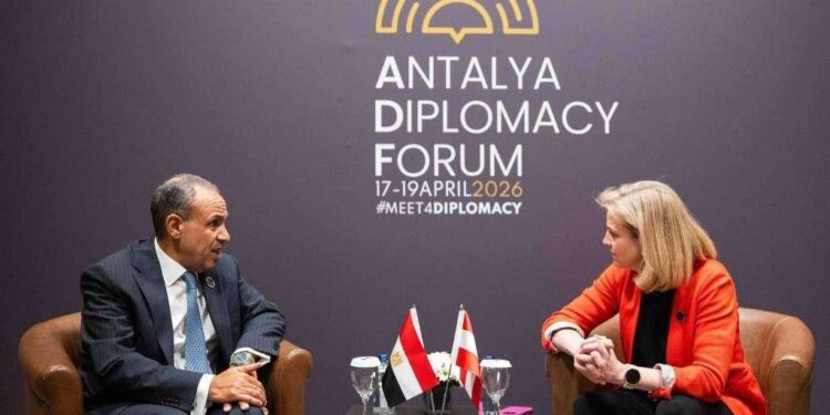 وزير الخارجية: إعادة تفعيل اللجنة المصرية النمساوية لجذب الاستثمارات