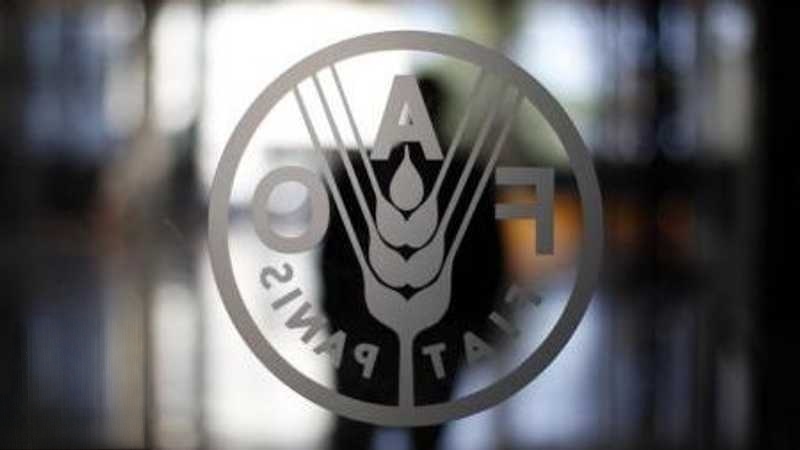 الفاو تحث على استئناف تدفق المدخلات الزراعية عبر هرمز في أسرع وقت ...