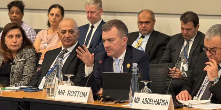 وزير التخطيط