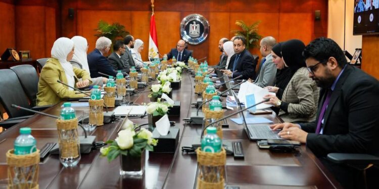 "الاستثمار" تبحث مع "اليونيدو" تأهيل الصادرات المصرية للنفاذ إلى أوروبا