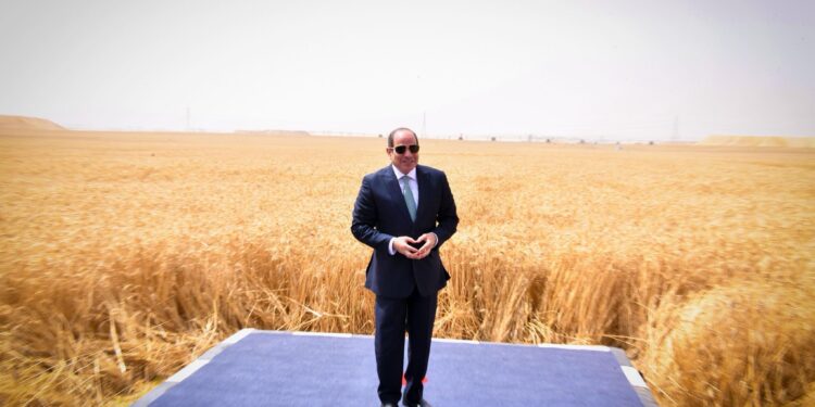 الرئيس عبد الفتاح السيسي، خلال افتتاح مشروع الدلتا الجديدة بمحور الشيخ زايد بمحافظة الجيزة