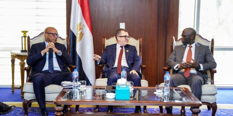 تفعيل آلية ضمان مشروعات البنية التحتية على مائدة مباحثات مصر و"IFC"