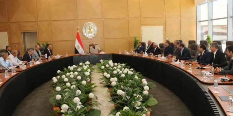 وزير الكهرباء
