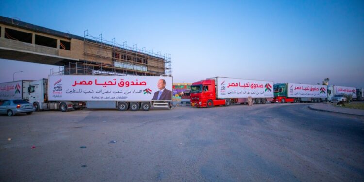 صندوق تحيا مصر