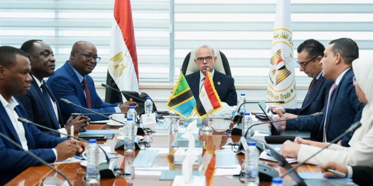 الاستثمار: ندرس تنظيم بعثة تجارية واستثمارية مصرية إلى تنزانيا