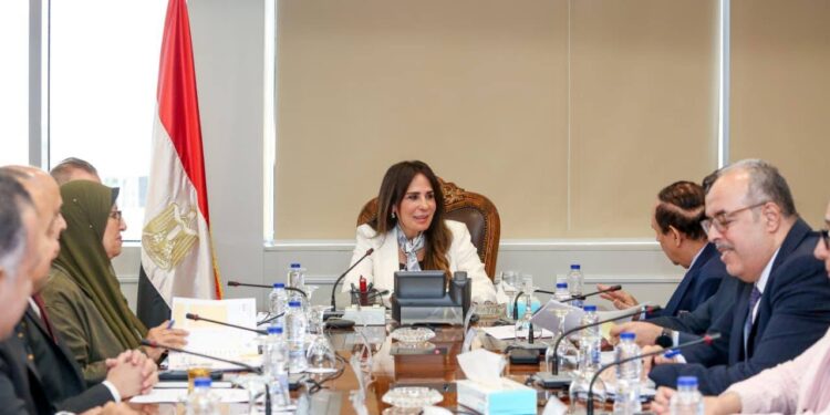 وزيرة الإسكان تتابع مستجدات مشروع قانون الاتحاد المصري للمطورين العقاريين