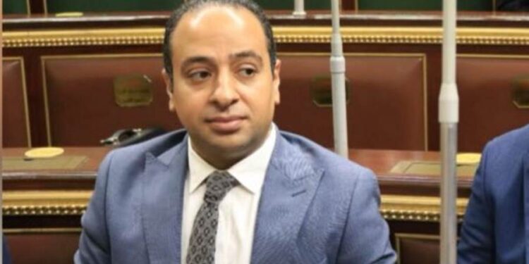 الدكتور أحمد رضا علي عبده عمارة، مساعد نائب رئيس هيئة المجتمعات العمرانية الجديدة