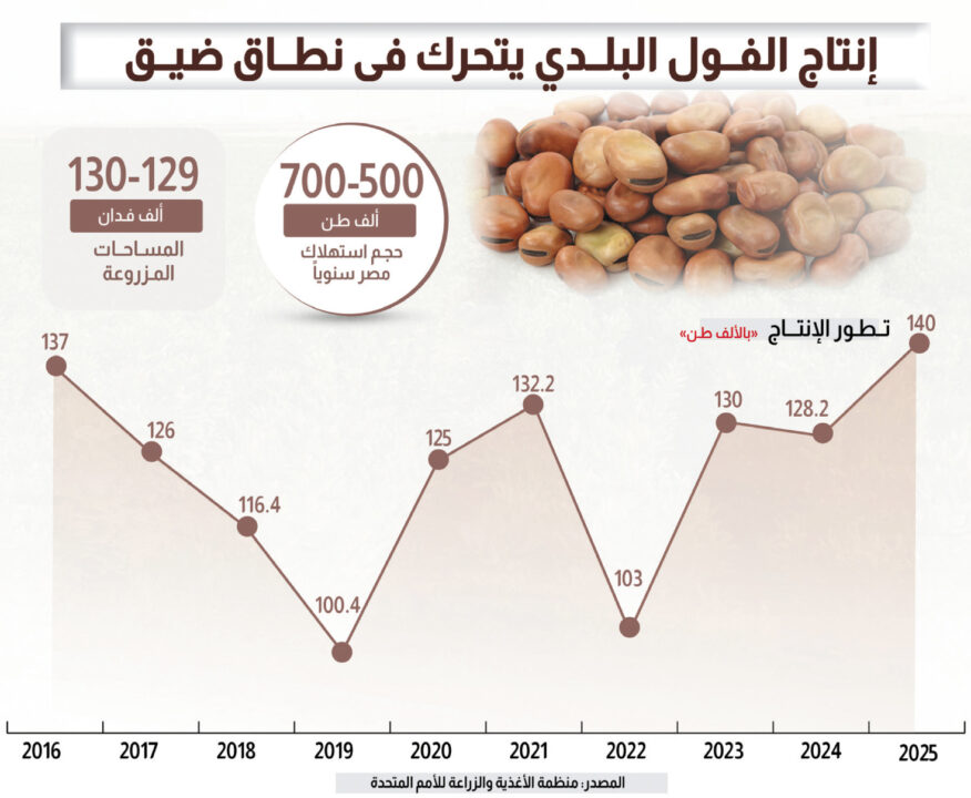 انتاج