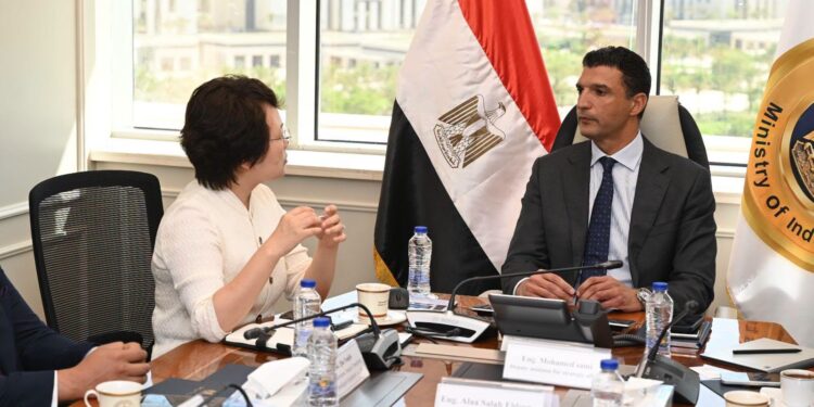 "جيانجسو تشانجهونج" الصينية تخطط لاستثمار 20 مليون دولار في قطاع السيارات بمصر