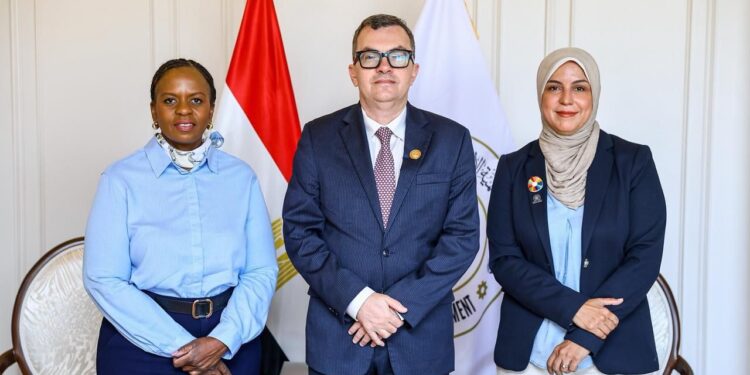 مديرة الميثاق العالمي للأمم المتحدة تسلّط الضوء على دور مصر في تعزيز ممارسات الأعمال