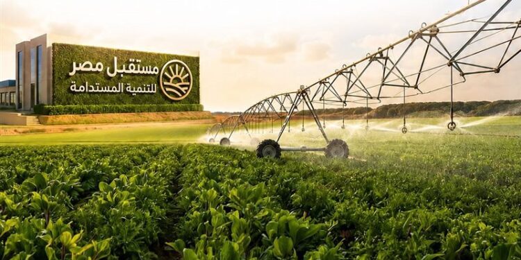 جهاز مستقبل مصر للتنمية المستدامة
