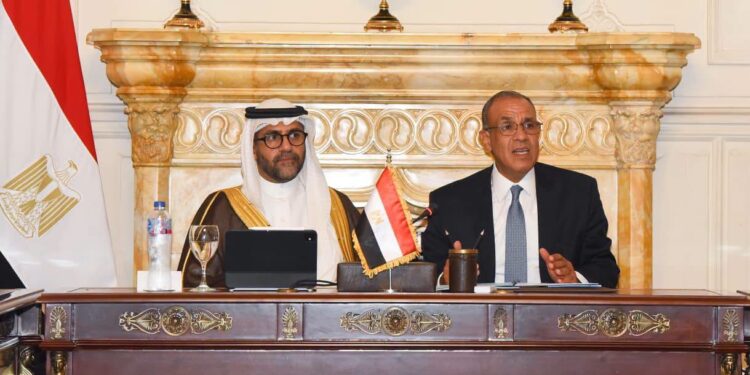 وزير الخارجية: تأسيس كيان استثماري لدعم نشاط الشركات المصرية في أفريقيا
