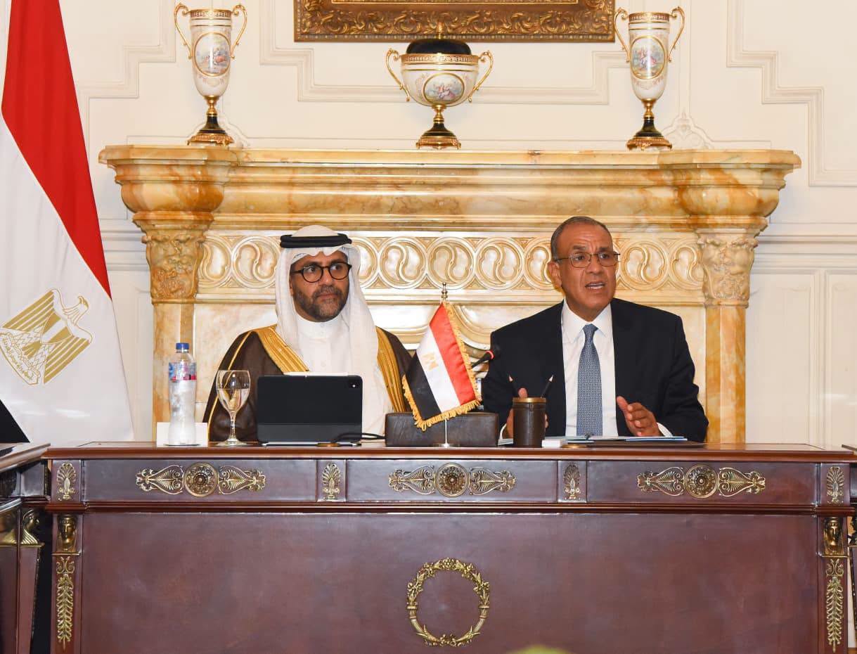 وزير الخارجية: تأسيس كيان استثماري لدعم نشاط الشركات المصرية في أفريقيا