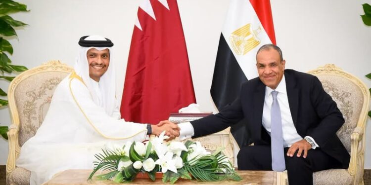 وزير الخارجية: مصر على استعداد لإيفاد الكوادر والتخصصات المهنية التي تحتاجها قطر
