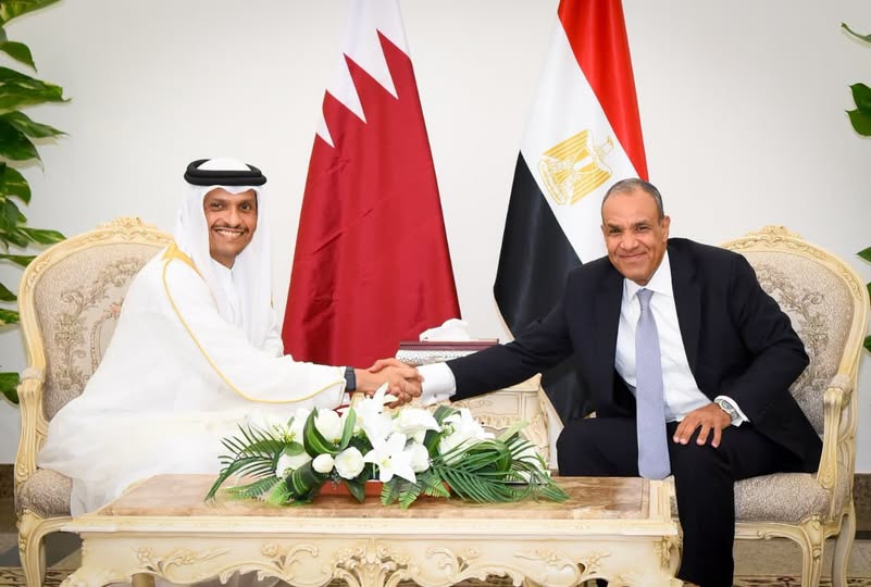 وزير الخارجية: مصر على استعداد لإيفاد الكوادر والتخصصات المهنية التي تحتاجها قطر 