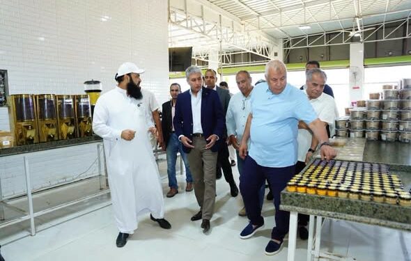 وزير السياحة ومحافظ مطروح يبحثان مقترح إقامة مهرجان لحصاد الزيتون