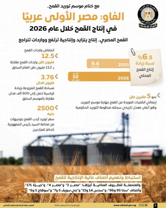الفاو