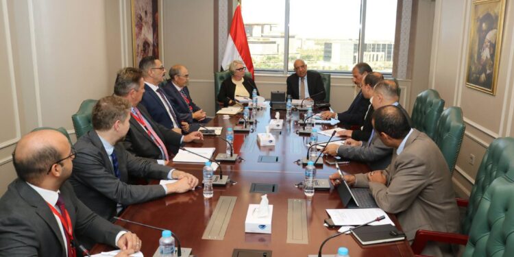 مصر وفنلندا تبحثان سبل التعاون في مجالات الطاقة المتجددة