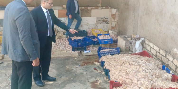 حماية المستهلك: ضبط مصنع غير مرخص لتجهيز دواجن فاسدة في بالجيزة