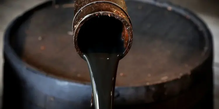 زيت الوقود