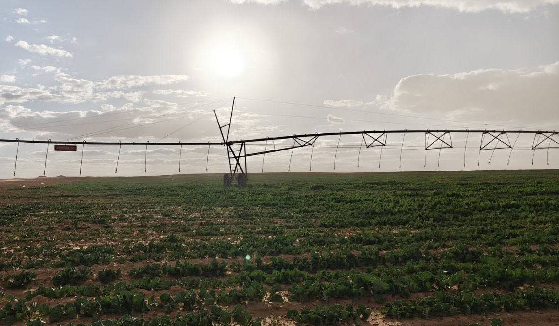 شركة إيدن للاستثمار والتنمية الزراعية ؛ استصلاح الأراضى