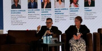 الحكومة تدعو شركاء التنمية لتوفير آليات تتيح التمويل بالعملة المحلية