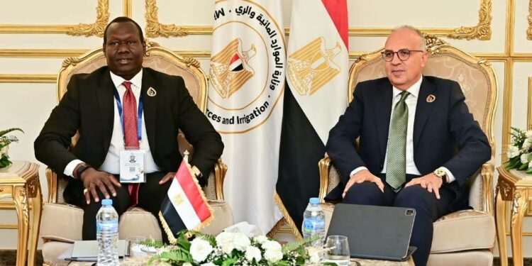 الري: تعزيز التعاون المصري الجنوب سوداني في إدارة الموارد المائية