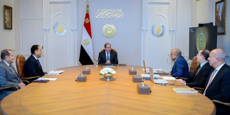 السيسي: تحويل الموارد الطبيعية المصرية إلى منتجات ذات قيمة اقتصادية مرتفعة