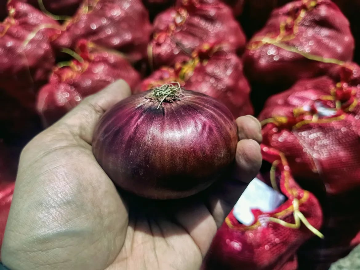 أسعار البصل ؛ الحاصلات الزراعية