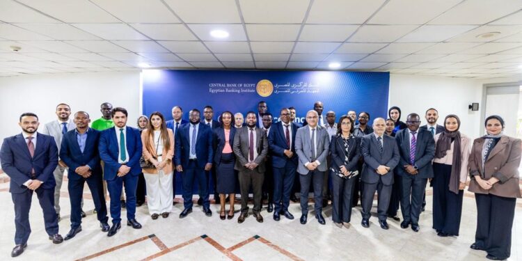 مصر تدعم 11 بنكًا مركزيًا إفريقيًا في دمج المخاطر المناخية باختبارات الضغوط